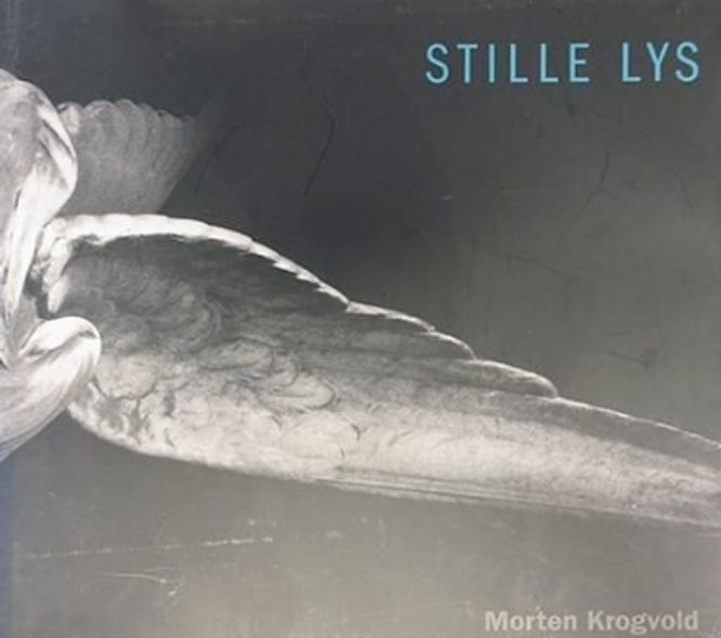 Hovedbilde Morten Krogvold, Stille lys
